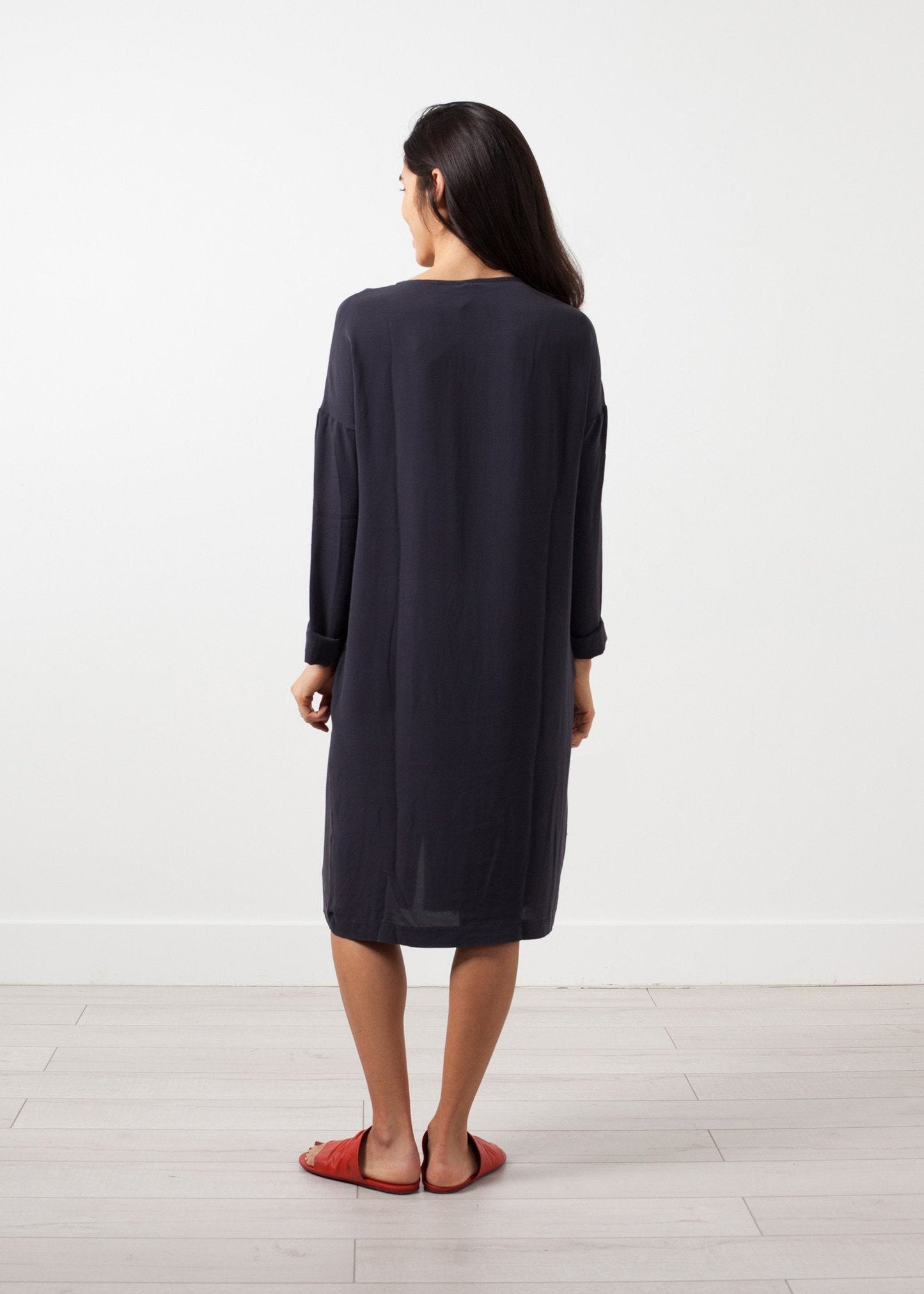 Long Sleeve Silk Dress - formtest11