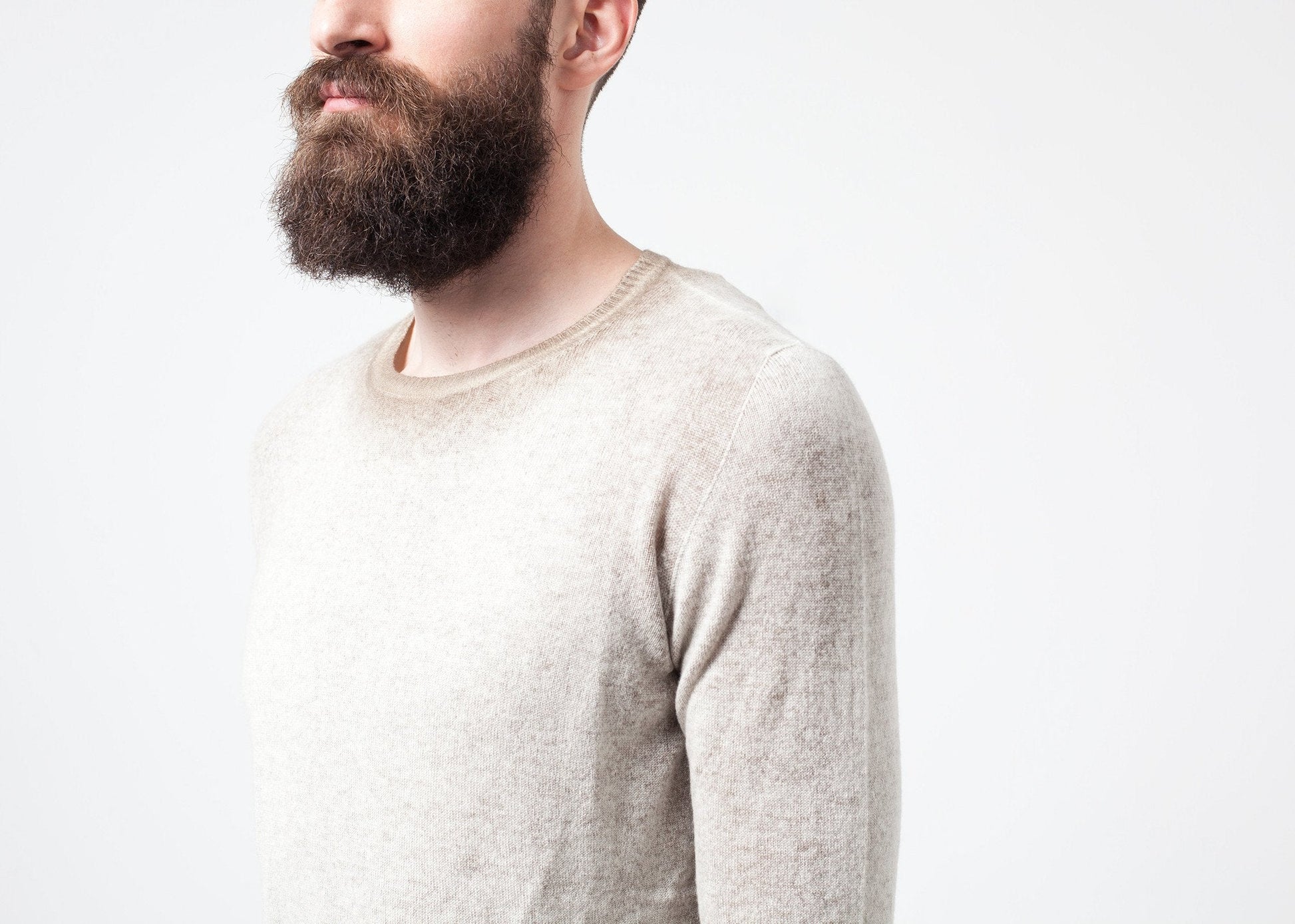 Mottled Cashmere Crewneck - formtest11