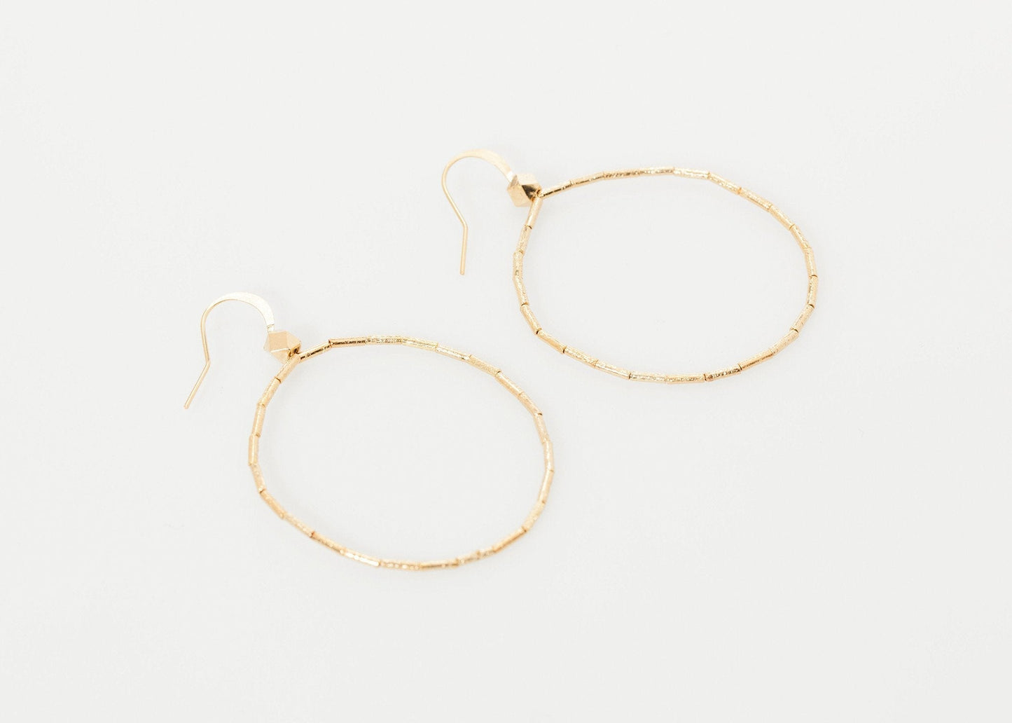 Roberta Hoop Earrings - formtest11