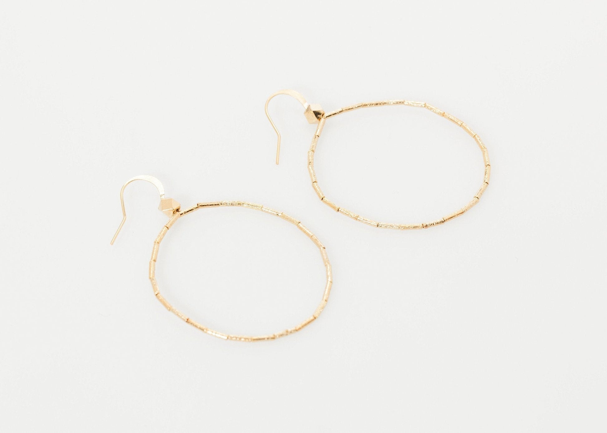 Roberta Hoop Earrings - formtest11