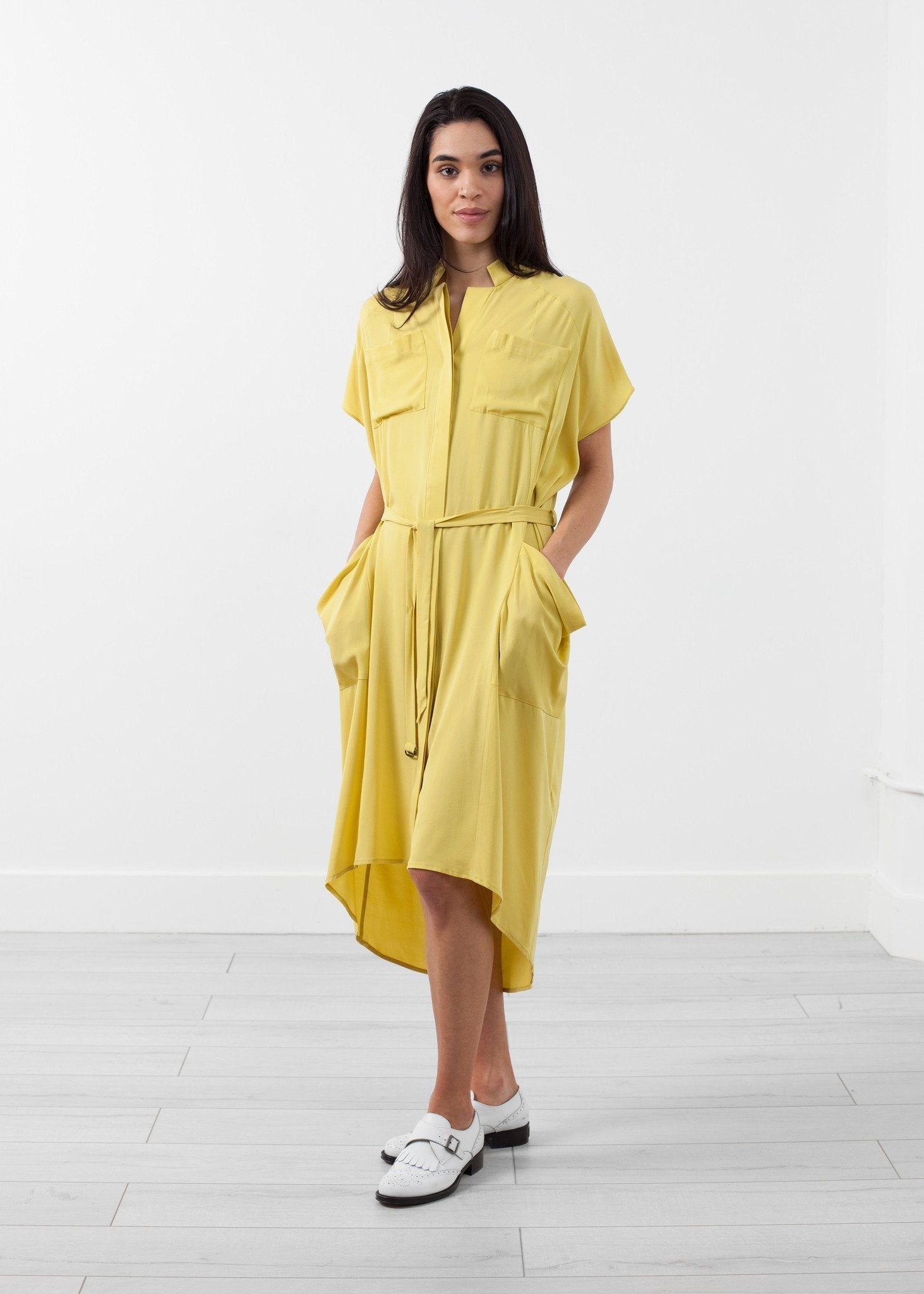 Ultime Silk Shirt Dress - formtest11