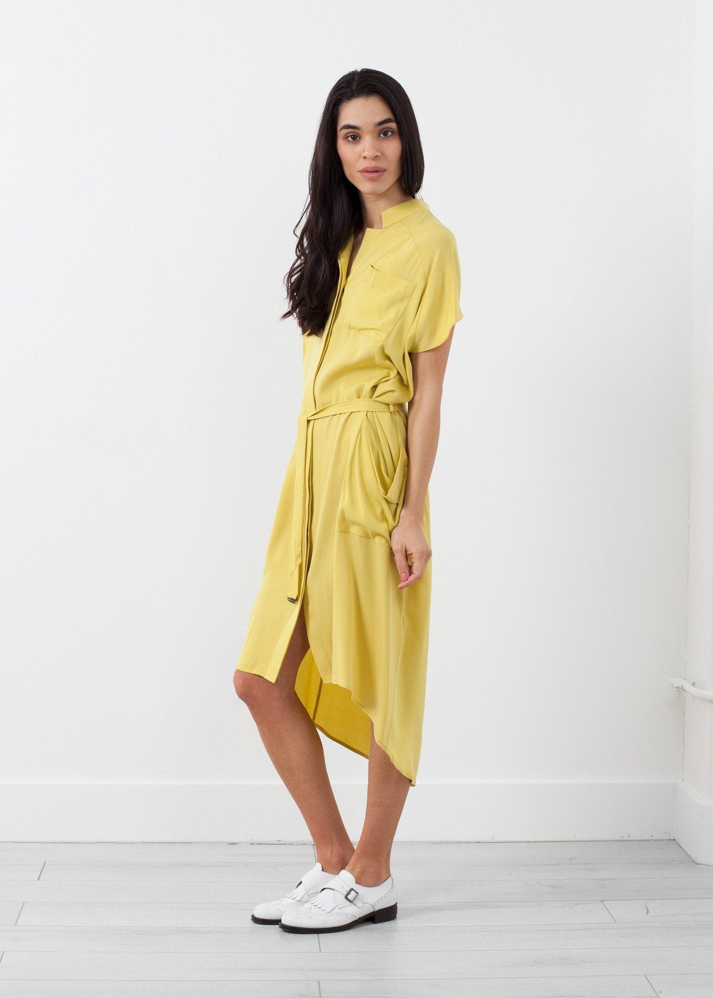 Ultime Silk Shirt Dress - formtest11